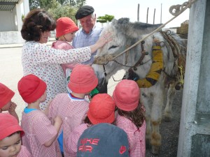 Passeio de carroça Passeio de carroça
