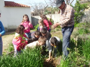 Dia Mundial da Árvore Dia Mundial da Árvore