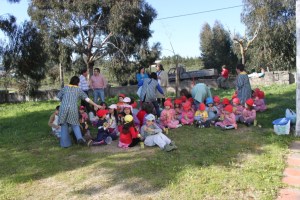 Associação assinalou Dia Mundial da Árvore.1